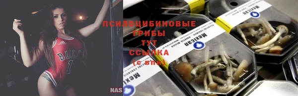 ALPHA-PVP Богородицк