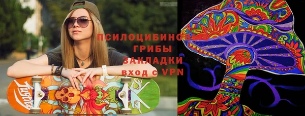 мдпв Богданович