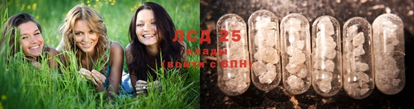 ALPHA-PVP Богородицк